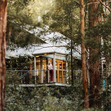 Bombah Point Eco Cottages Bulahdelah Eksteriør billede